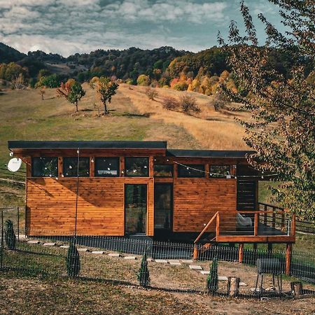 Utopia By Noratlas Heritage - Adults Only Buzau Luaran gambar